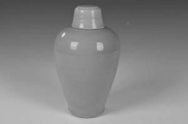 胡夫人墓中龙泉窑梅瓶