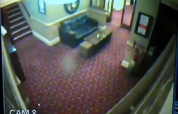 Ӣ���ư��ֹ�������ĵ�һ�Ű�ɫ�����ӵذ�ð��������Ʈ�����컨��