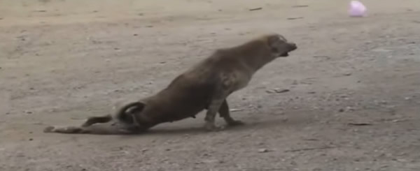 Ӱ�ۼ������ˣ�����Ȯ��̱�����������������������