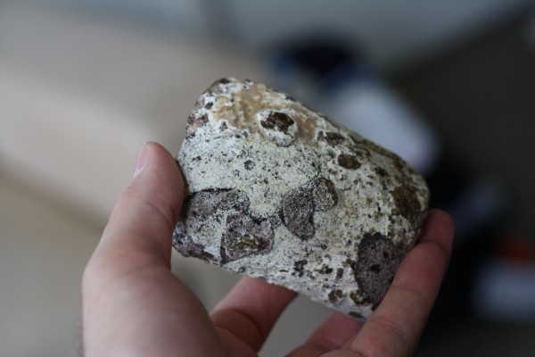 һ����������������һ�������㣨��ơ���ɫ���꡹������Ӱ��Christopher Kemp