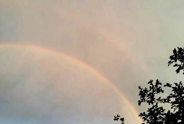 �����ֺ���������ۡ�˫�ʺ�ӳ��ϼ��