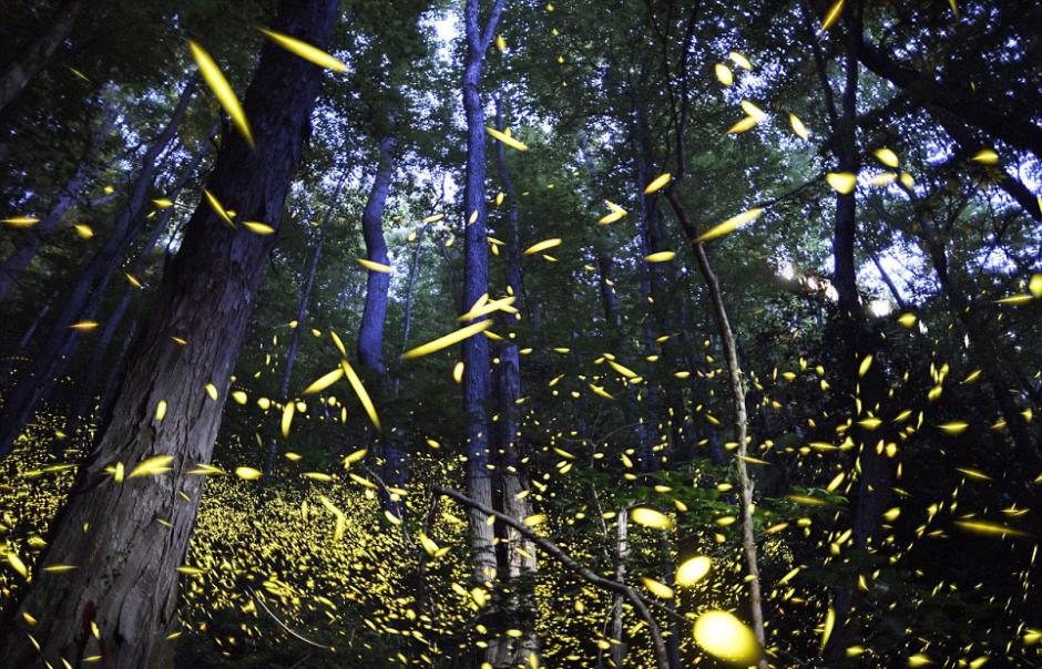 ݴɽҹ԰ӭÿһεө深ֳ伾