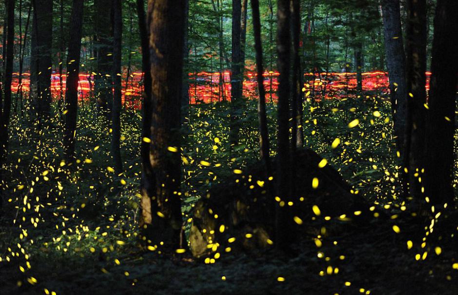 ݴɽҹ԰ӭÿһεө深ֳ伾