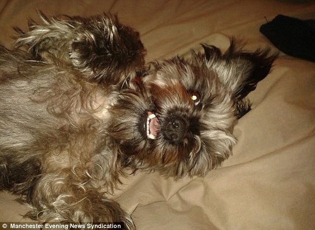 Scruff������̬����������˵��Scruff�ر���Ů��Ե��ֻҪ��Ů�Զ���ʾ�ã�����ʮ�ֻ���