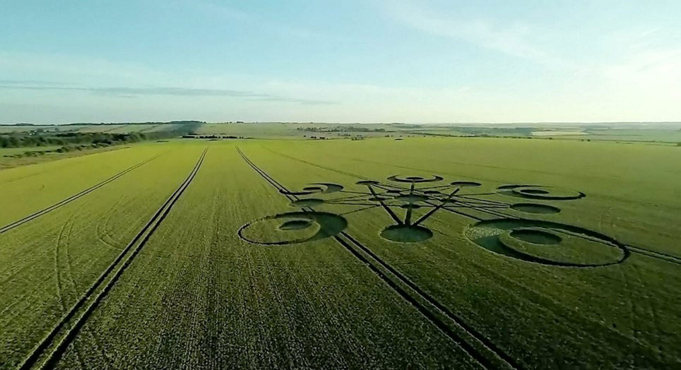 英国多塞特郡农田中惊现2014年首个麦田怪圈