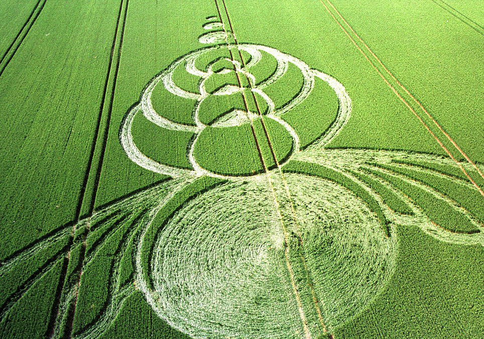 2004年6月出现在英国威尔特郡的麦田怪圈