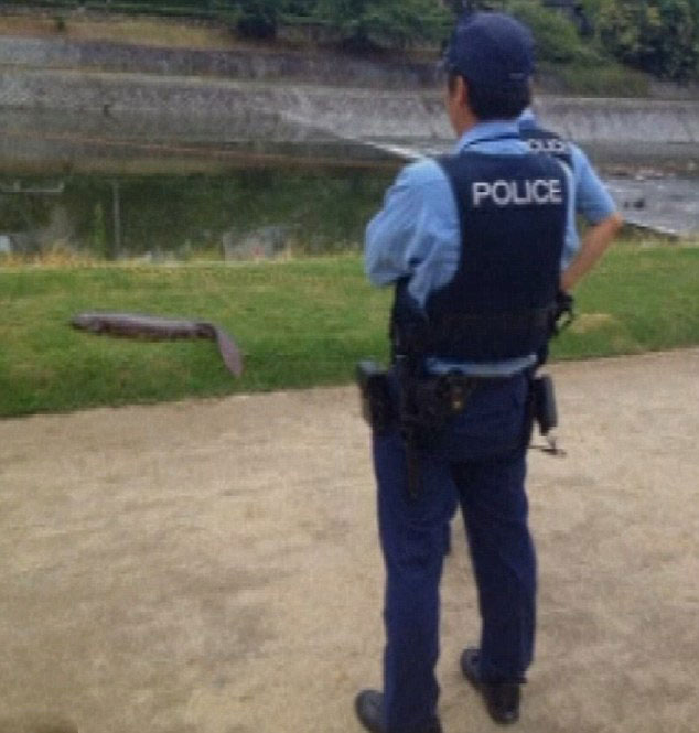 �ձ�ѧ��·�߷���1�׳�������