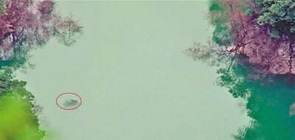 �����ĵ��ġ�ˮ�֡���Ƭ