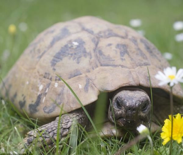 Ӣ��116���ڹ����������������ս