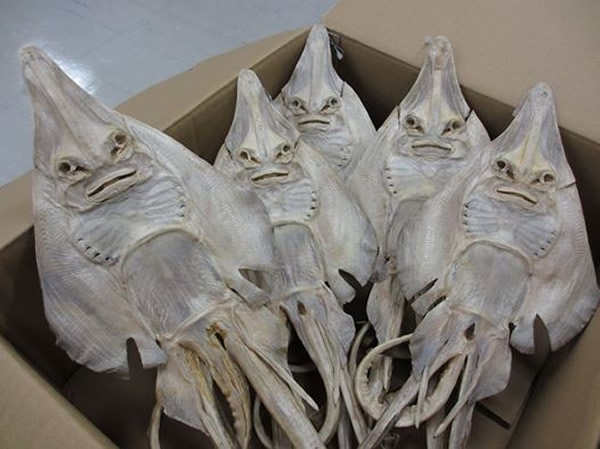 ��㱻������ɺ󣬿��������������˻����Ρ�