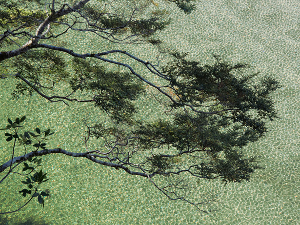 玉的国度——新西兰