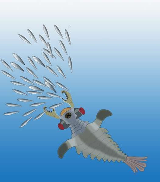 Lyararapax在下寒武统追逐原始鱼类的透视图