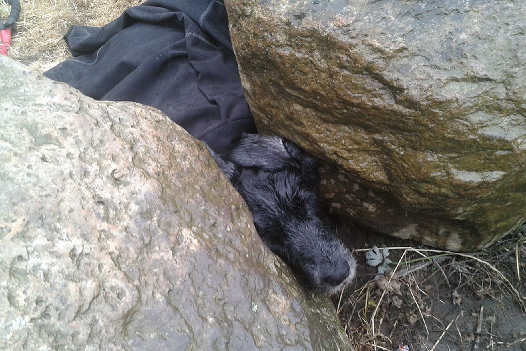 Ӣ����Ƥ��������ʯ���� ���������ȳ�