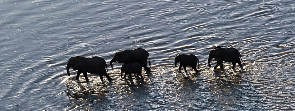 �ޱ�����Ⱥ�ڴ�Խ�ɺ�ɳĮѰ��ˮԴ��Ψ��ͶӰ