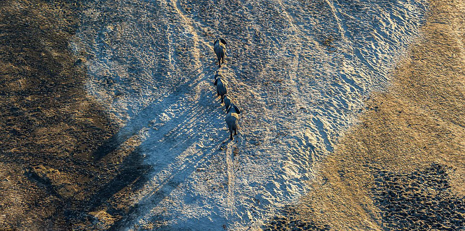 �ޱ�����Ⱥ�ڴ�Խ�ɺ�ɳĮѰ��ˮԴ��Ψ��ͶӰ