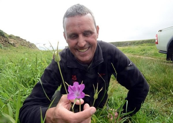 Ӣ������һ�ȱ���Ϊ�Ѿ����ֵ�ɱ�˻�������