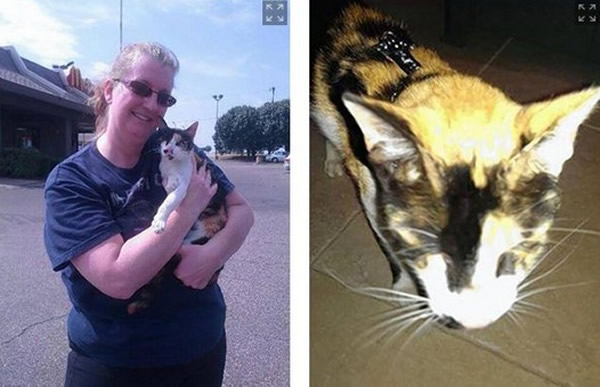 美国妇女开车3680公里接回认养的瞎眼猫