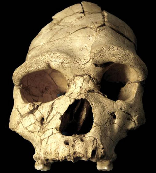 ���±����Ƿ���ڳɹ�����ѧ���������