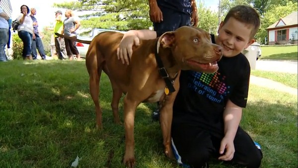 ����ӡ�ڰ����ݱ���Ȯ����ʧ��С��������