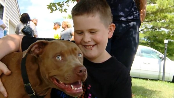 ����ӡ�ڰ����ݱ���Ȯ����ʧ��С��������