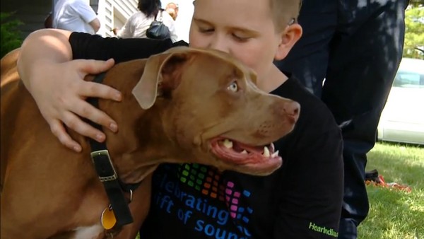 ����ӡ�ڰ����ݱ���Ȯ����ʧ��С��������