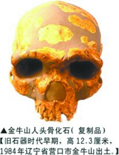 金牛山人头骨化石