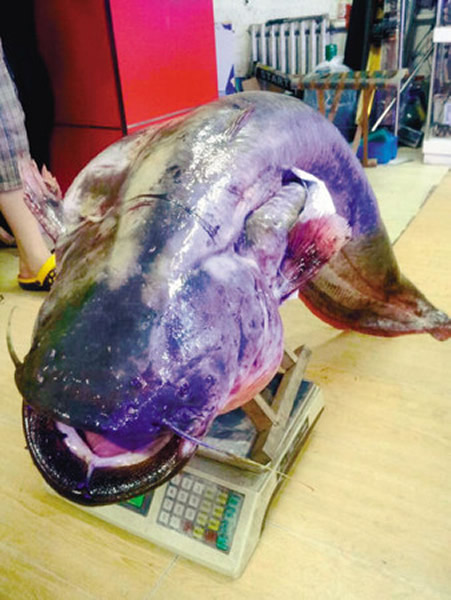 �����������ӵ���һ����1.3����46���������