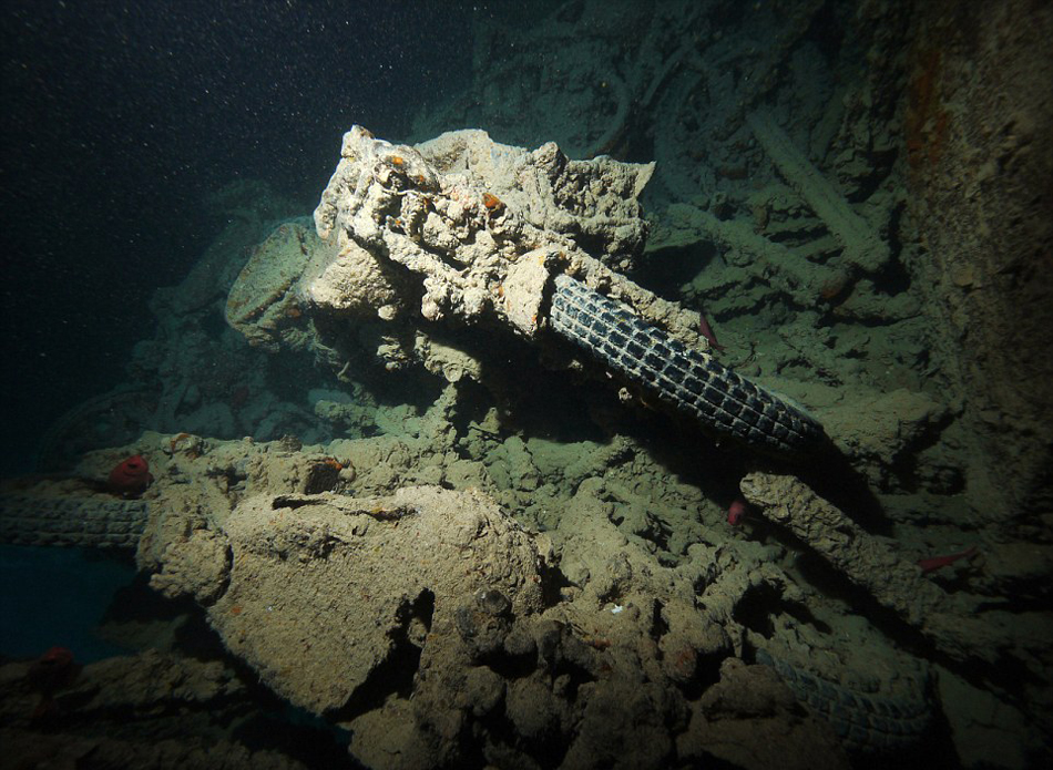英国潜水员探访红海海底二战沉船“蓝蓟花号”(SS Thistlegorm)残骸遗址