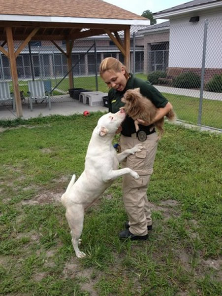 �������˱���Ȯ�չ����˼�����