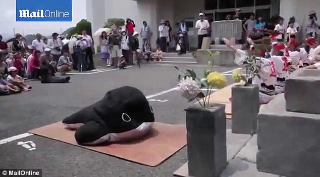 日本捕鲸节上演捕假鲸鱼大戏