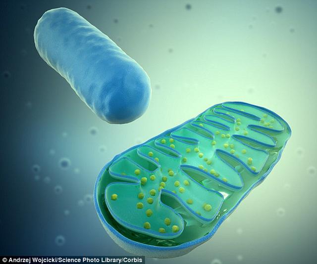 廹ŹϵķӦƣͬʱѧҲֺϸڵĵһ﹤