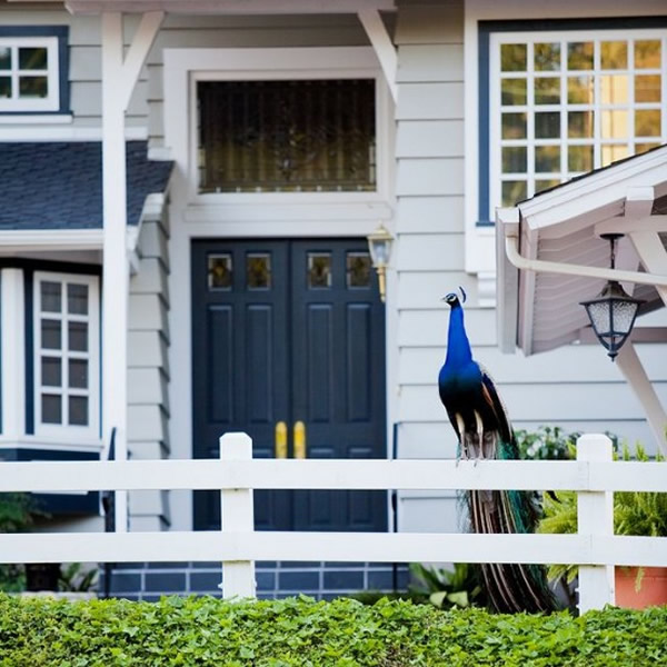 ������ɼ������˹����˹�뵺��������ׯ԰��ʮֻ��ȸ��ɱ