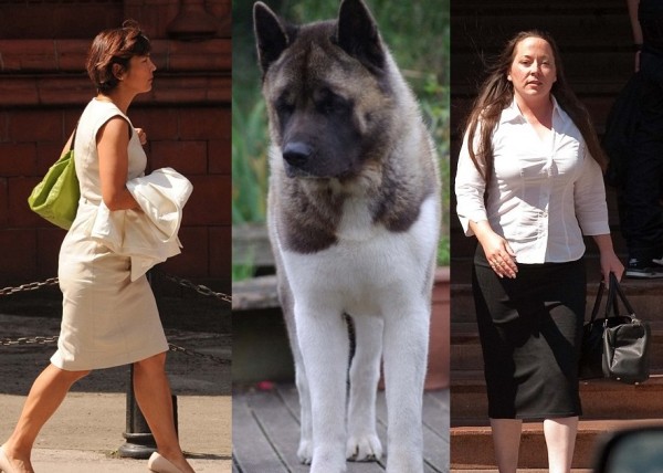 ����˹(��)�򰣵�(��)ҧ���ɶ�ѷ(��)�������