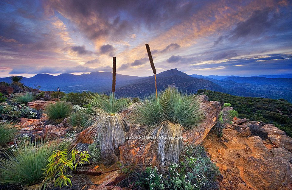 南澳福林德斯河支流边儿上的奥森巴吉山风光,图片是弗莱彻的代表作之一。