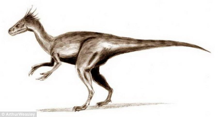 虽然嗜鸟龙身体很小,体重仅15公斤,却非常擅长于捕猎,它们的主要食物包括:小型哺乳动物、蜥蜴和鸟类。