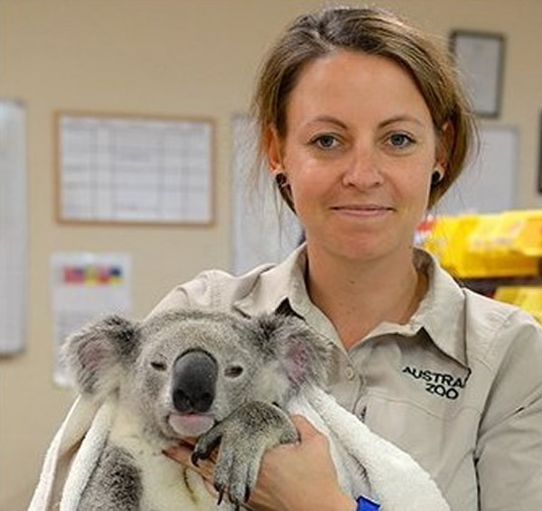 �������ǿ��β�ܱ���ײ�Ժ��泵����88����