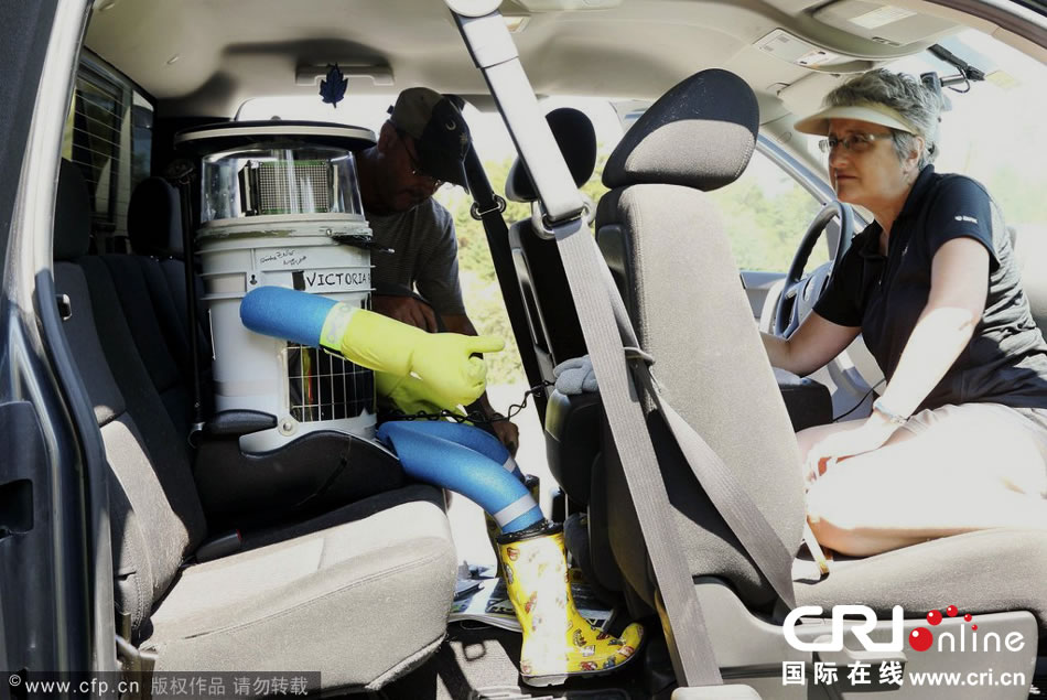 hitchBOTţ˾Ϊϵϰȫ