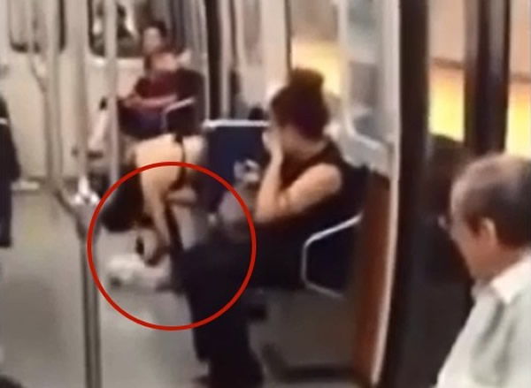 加拿大地铁车厢内女子当众拔毛生吃雀鸟?