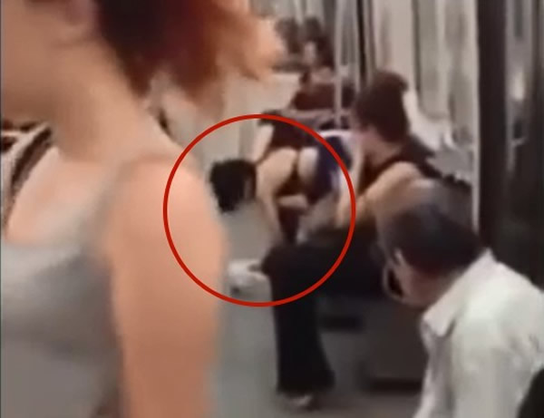 加拿大地铁车厢内女子当众拔毛生吃雀鸟?