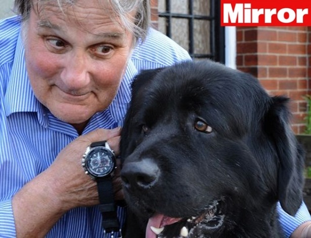 Ӣ�����Ŀ������ֱ�ʧ�� ����Ŧ����Ȯ������������