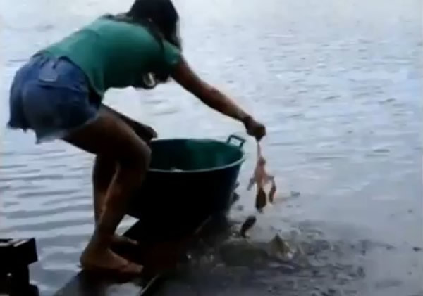 巴西女子示范在河中徒手钓食人鱼