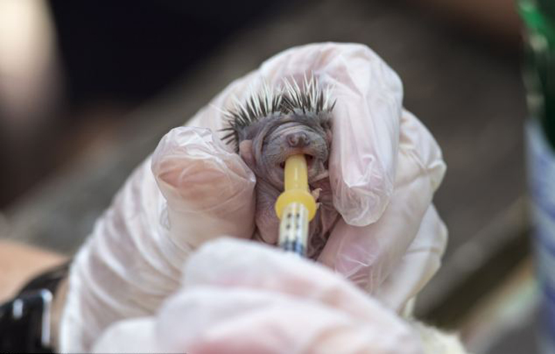 �ոճ��������С���������