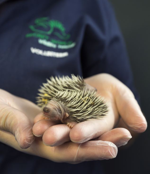 �ոճ��������С���������