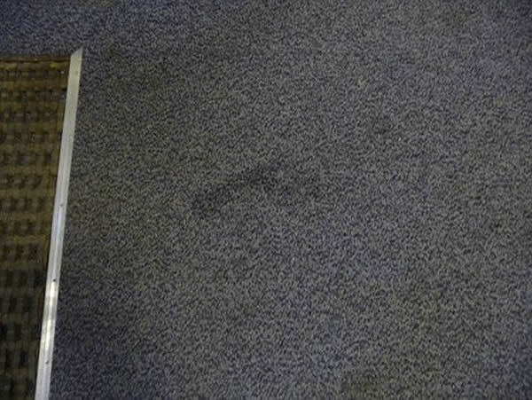 据认为这是一个儿童脚印留下的痕迹,这是剧院老板看到的诸多神秘印记之一。