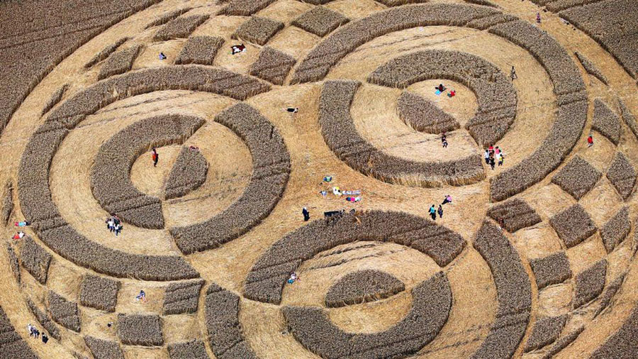 德国巴伐利亚州慕尼黑农民清晨出门发现麦田怪圈