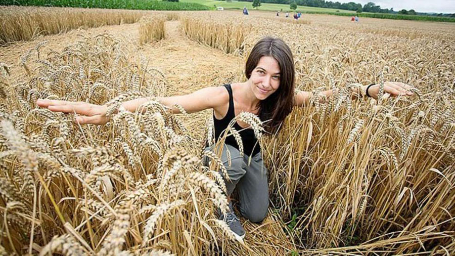 德国巴伐利亚州慕尼黑农民清晨出门发现麦田怪圈