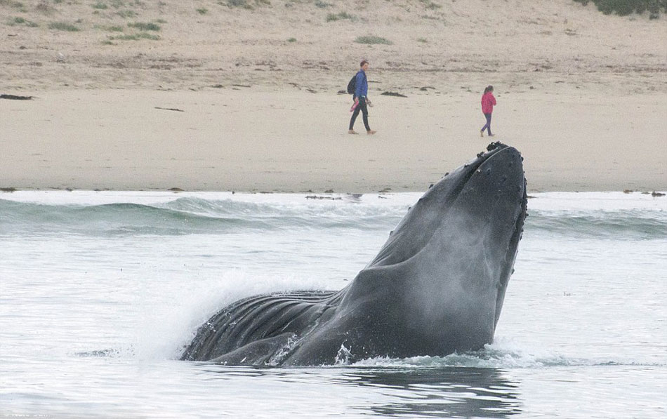 �޴���ͷ�����������ݺ�����׳������