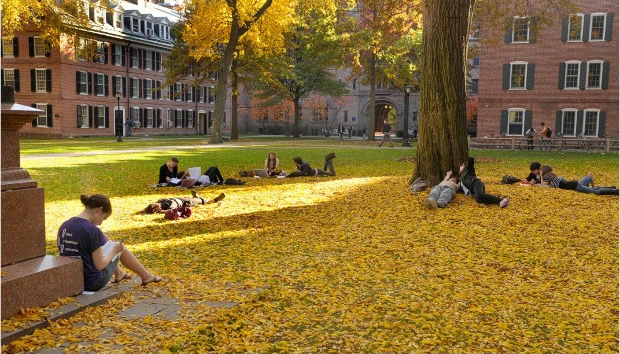 为传统名校的耶鲁亦三甲不入