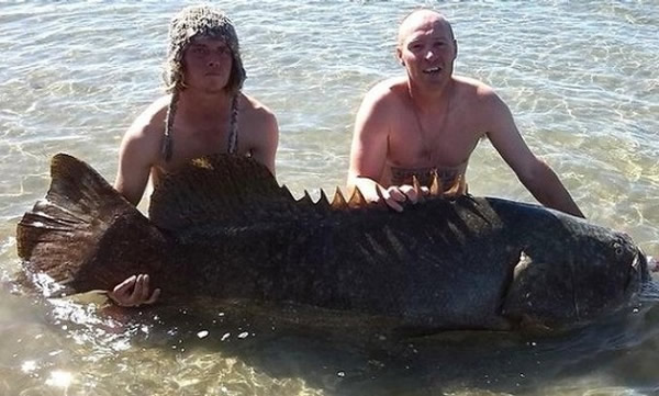 ������������ٹ�����ްԡ�ʯ��