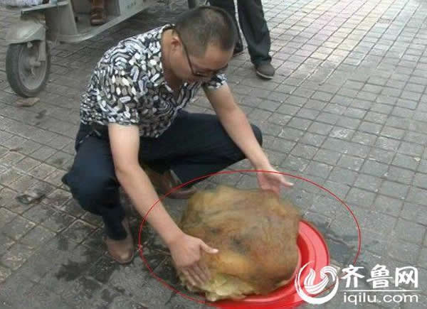 ɽ�������ղ���ʮһ�ﲻ�������塰̫�ꡱ